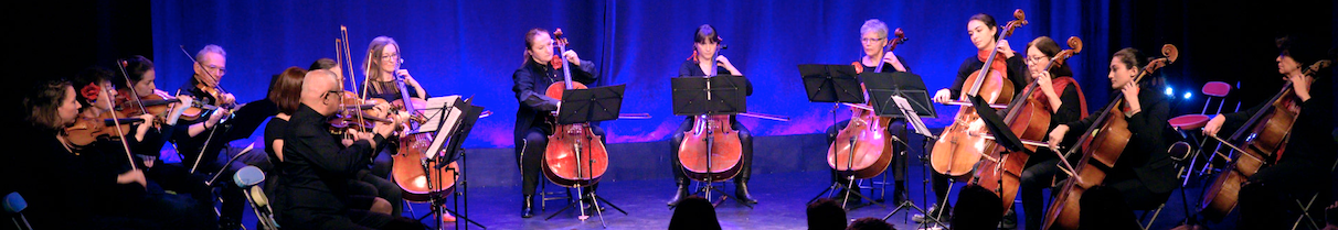 orchestre à cordes pour adultes Calmerata