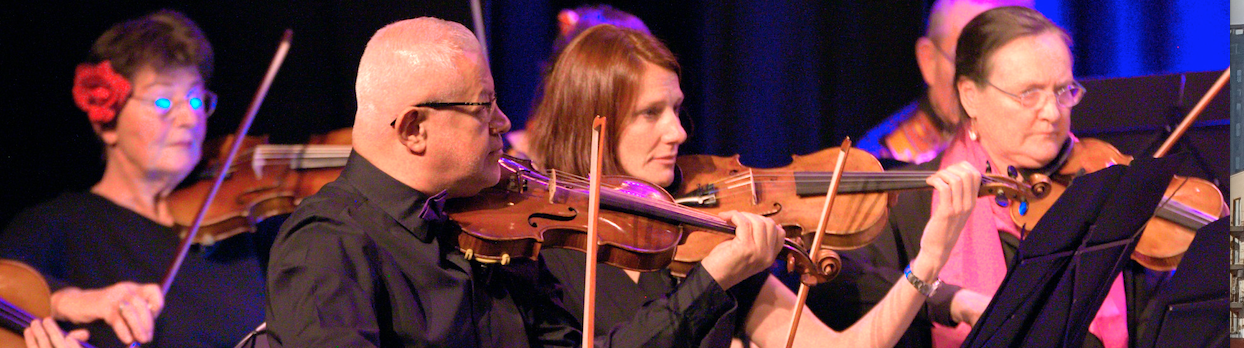 orchestre à cordes pour adultes Calmerata