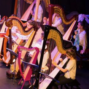 cours de harpe canton de Genève