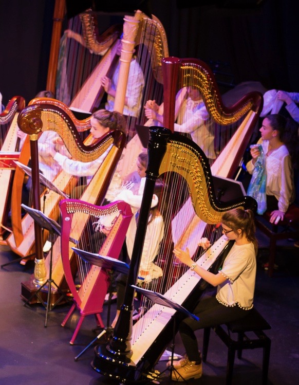 cours de harpe canton de Genève