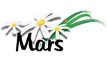 Logo stage mois de mars