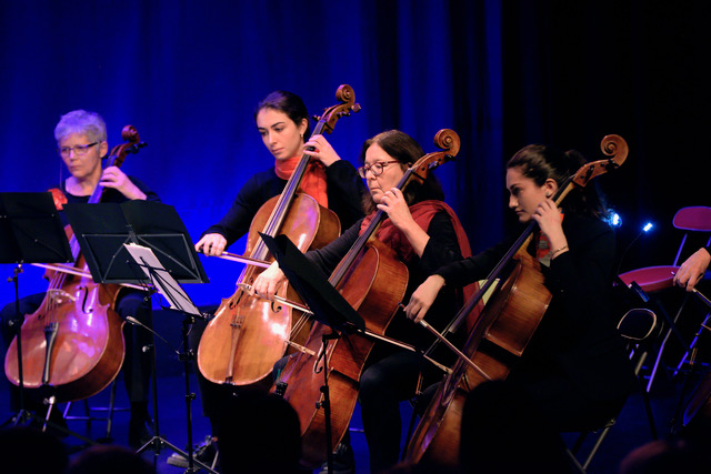 orchestre à cordes pour adultes Calmerata